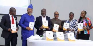 Lagos Govt Unveils New Guidelines On Safe, Lawful Abortions