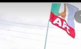 #OsunDecides: Portable Reacts As INEC Declares Adeleke Winner