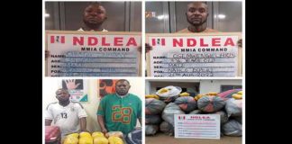 NDLEA Operatives Arrest Lagos Airport Cleaner Who Leads Drug Syndicate