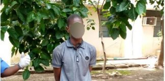 Why I Killed My Step Mum – 25-year-old Suspect