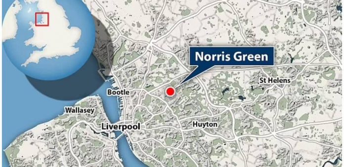 WhatsApp Image 2022-08-14 at 1.04.29 PM