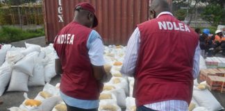 NDLEA Uncovers Underground Bunker Filled With Drugs In Delta State