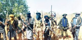 PLEASE: Bandit Leaders Beg Govt For Amnesty After NAF Airstrikes