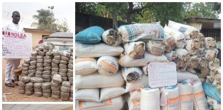 NDLEA Operatives Reject N3m Bribe, Arrest 17 Suspects, Intercept 2,601.5kgs Cannabis, 102,500 Opioid Pills