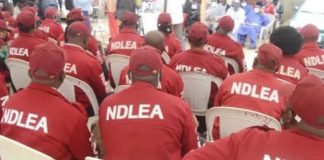 NDLEA Set To Collaborate With Pakistani Counterparts, Others Over Drug Trafficking