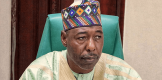 Gov Zulum Extends Borno Teachers’ Retirement Age By 5-years
