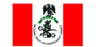 Drugs Can’t Enhance Academic Performance, Only Distort Thinking’ — NDLEA Warns Youths