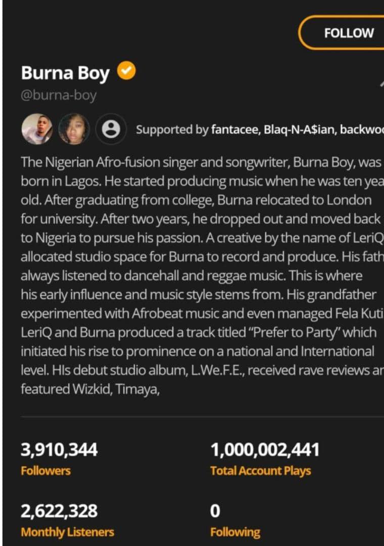 Burna Boy