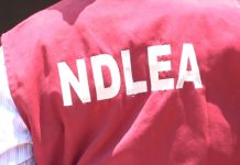 NDLEA cracks down on drug traffickers with massive nationwide seizures