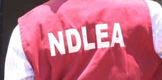 NDLEA Intercepts N4.8 Billion Worth Of Illicit Drugs From Warehouse In Lagos