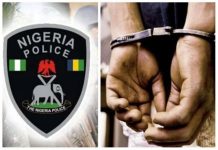 Native doctor jailed 31 years for fraud in Anambra