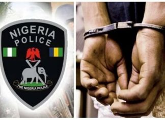 Native doctor jailed 31 years for fraud in Anambra