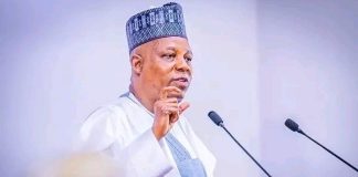 SHETTIMA: Nigeria Will Work Again