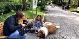 Man Who Spent $20,000 To Transform Himself Into Dog Finally Walks In Public (Watch Video)