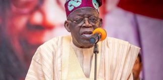 Nigeria @ 65: Tinubu pushes for farming, factory growth