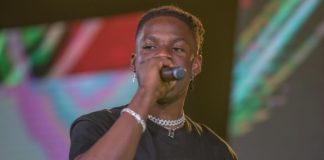 Rema Beats Wizkid, Davido, Burna Boy, Others to Win ‘Best Afrobeats Song’ Rema