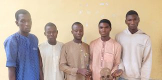 Money Ritual: Police Arrest Five In Possession Of Human Skull In Niger