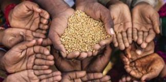 283 Million People Go To Bed Hungry In Africa – Adesina