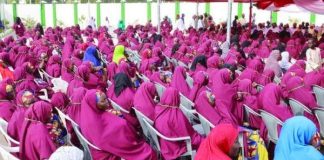 Kano Mass Wedding: Intending Couples Test Positive For HIV, Hepatitis B, Pregnancy