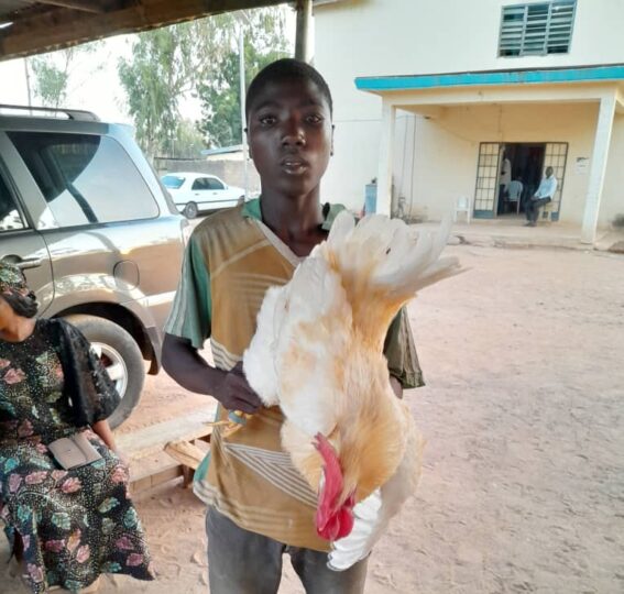 IMG_20231208_104706-e1702033041727-567x540