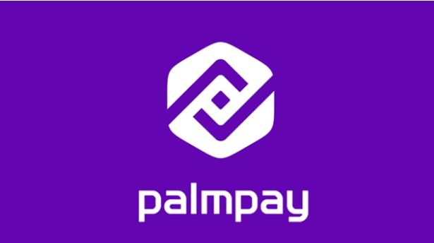 Palmpay - The Naijassador