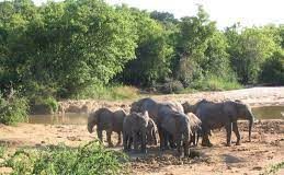 8 Kid-Friendly Spots To Visit In Nigeria