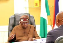 Insecurity: Nigerians have right to defend themselves, bear arms legally – Presidency