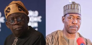 Tax Reform Bill: Stiff opposition as Zulum warns Tinubu of consequences