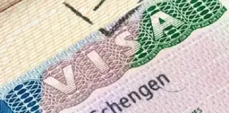 JAPA: Nigerians face massive Schengen visa rejection — Report