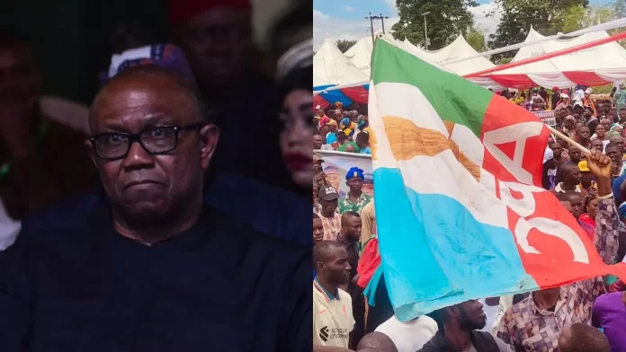 484c91c8-2e7c-48a5-9d89-bce3d24f2a67