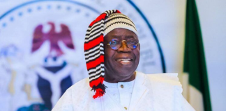 2027: 1,000 PDP groups endorse Tinubu’s re-election, call Wike ‘great asset’