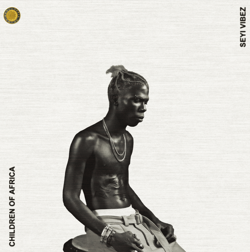 34a7eb5b-ae2c-4f3c-8e2e-77450e6ae34d 1 - The Naijassador