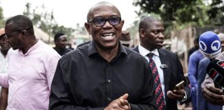 ADC coalition: Fayose declares support for Peter Obi