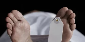 From Ecstasy to Tragedy: Doctors Reveal Why People Die During Sex