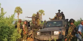 Nigerian troops kill 17 terrorists, nab 85 suspects, rescue 10 from kidnappers