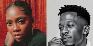 Tiwa Savage slams influencer, issues stern threat over repeated attacks