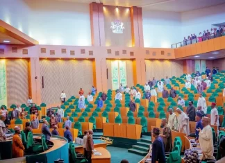 Reps make U-turn, approve electronic, manual transmission of election results