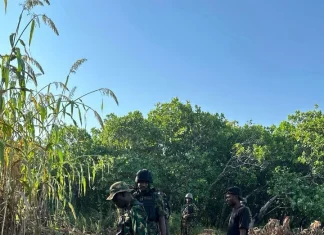 Troops nab 10 terror suspects, rescue 3 victims from kidnappers Soldiers in camouflage gear with rifles stand on a rocky dirt path in a wooded area, a civilian man nearby wearing a black shirt and white sneakers.