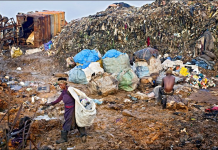 Illegal waste dumping lands 108 residents in police custody