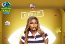 Leaked Video: Ex-BBNaija star Isabella faces backlash over alleged explicit clip Isabella portrait in a striped polo, standing before a bright eye graphic with a 'CERTIFIED' stamp above; BBNaija branding in the background.