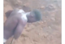 “Please save this video for the future – 400-Level Medical Science Student Works as Bricklayer Blurry photo of a small bird lying on dusty brown ground with a thin string nearby, not in focus.