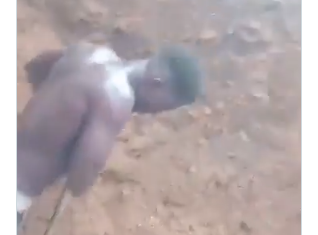 “Please save this video for the future – 400-Level Medical Science Student Works as Bricklayer Blurry photo of a small bird lying on dusty brown ground with a thin string nearby, not in focus.